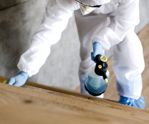 Aplicação de produto para cupim em peça de madeira, com equipamento de proteção