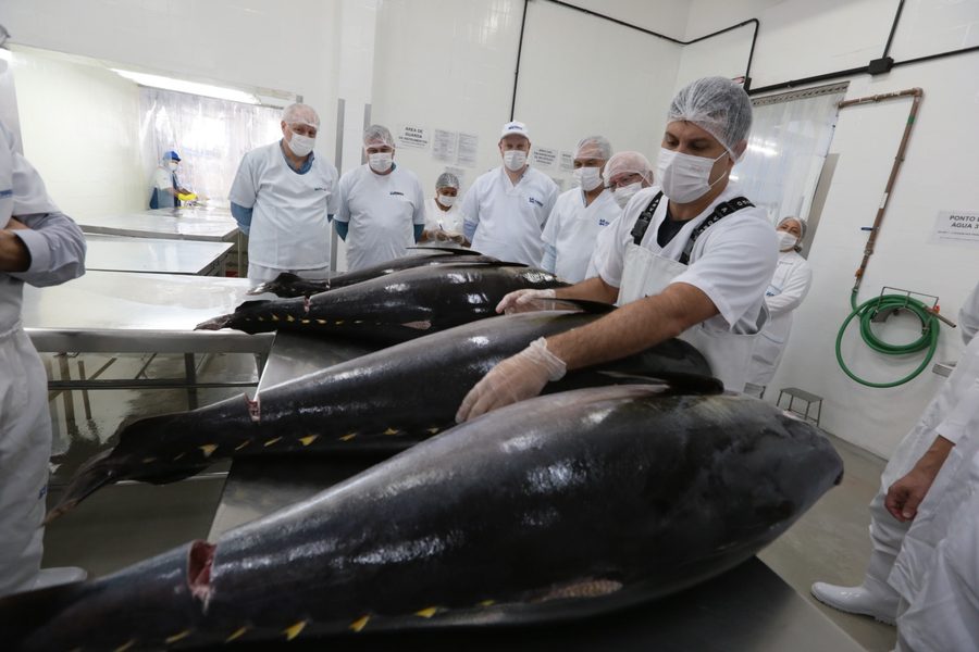 Área de produção de indústria alimentícia, ambiente que exige Manejo Integrado de Pragas